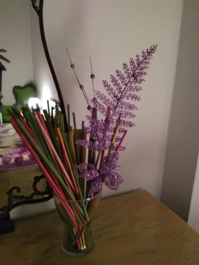 罗马 卡西里诺下一站旅馆酒店 外观 照片
